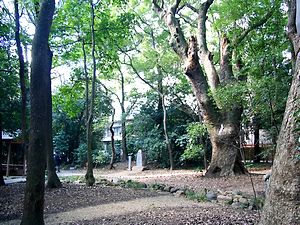 生田の森.jpg